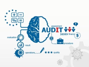 Medical Claims Audit Process